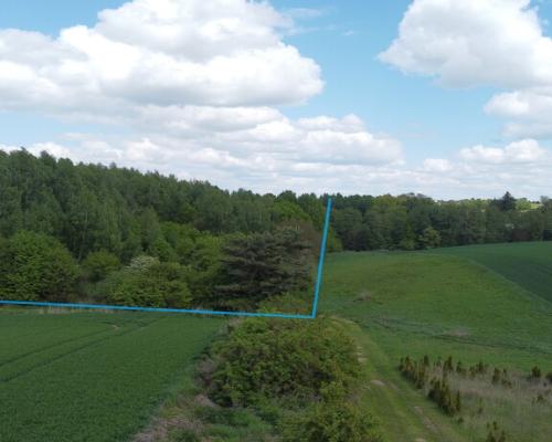 Działka 2,15 ha z potencjałem koło Nałęczowa.