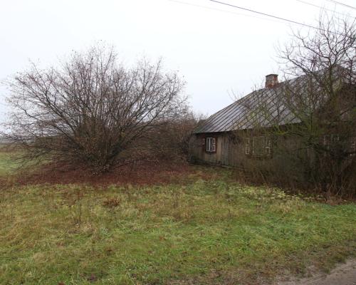 Działka rolno budowlana  1,1 ha Wola Mieczysławska