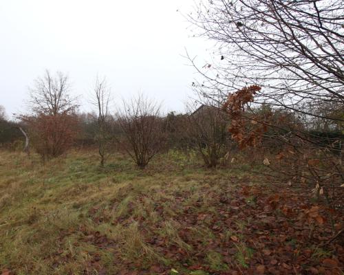 Działka rolno budowlana  1,1 ha Wola Mieczysławska