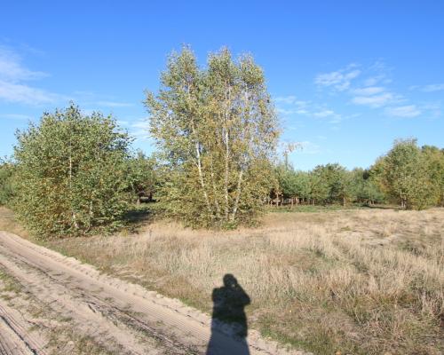 Działka budowlana 15 ar Kozioł g. Baranów