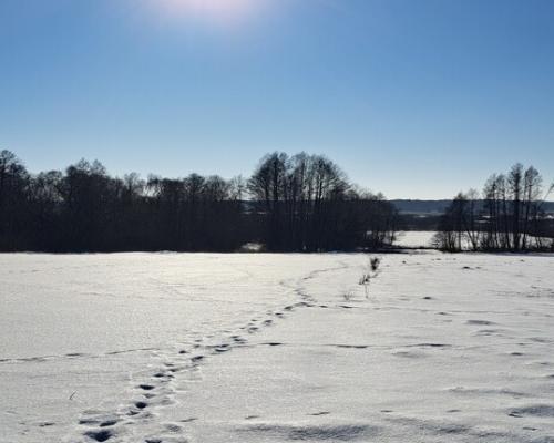 Piękna działka rolno-budowlana, Żminne, Parczew.