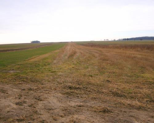 3 działki o łącznej powierzchni 2.4 ha, Borzechów
