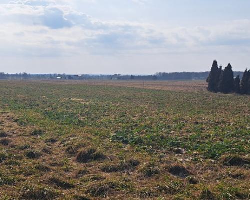 Radawiec Mały. Działka z projektem i pozwoleniem.