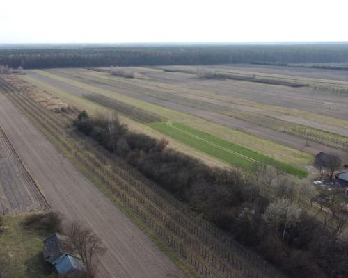 Siedlisko 3000 m2 w Boiskach gm. Solec nad Wisłą.
