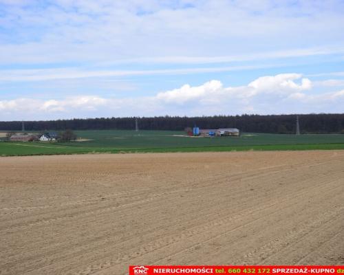 Duża działka rolno-bud. blisko lasu i zalewu.