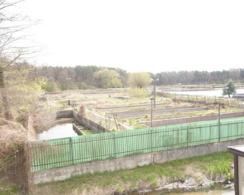 5,42 ha, Stawy rybne, las, Zemborzyce, Lublin