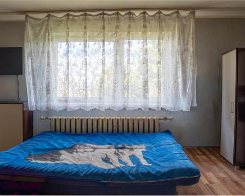 Gruszewnia, ul. Kłobucka | Dom na sprzedaż