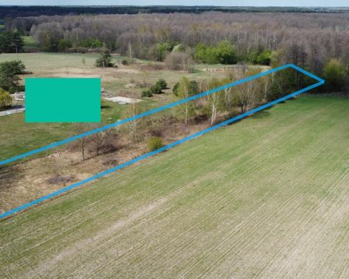 Działka budowlana 3000 m2 w Siekierce gm. Chotcza