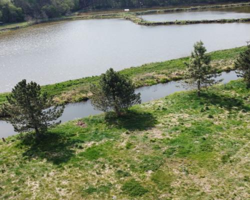 5,42 ha, Stawy rybne, las, Zemborzyce, Lublin