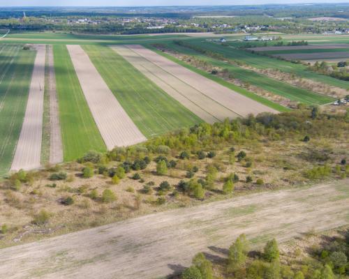 Częstochowa, ul. Ugody | Działka na sprzedaż