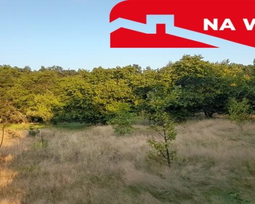Ładna, uzbrojona działka pod lasem-33a-Wilczopole