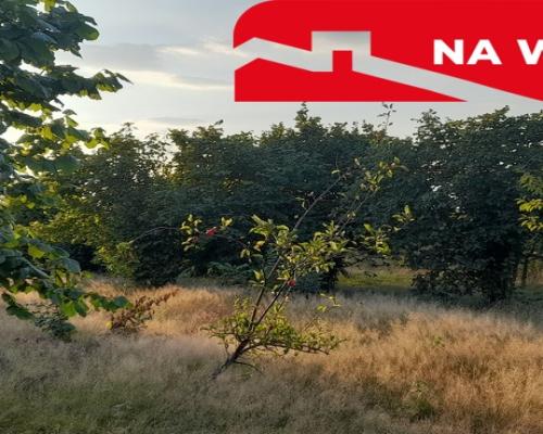 Ładna, uzbrojona działka pod lasem-33a-Wilczopole