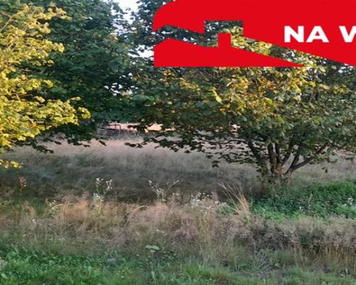Ładna, uzbrojona działka pod lasem-33a-Wilczopole