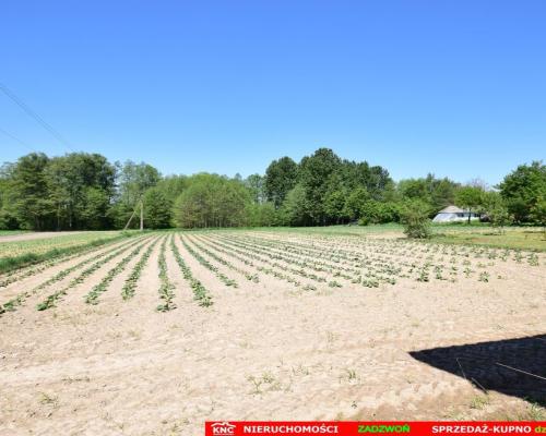 Dom do wykończenia graniczący z rz. Ciemięgą