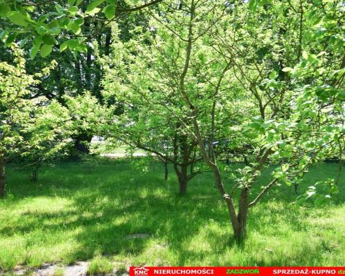 Dom do wykończenia graniczący z rz. Ciemięgą