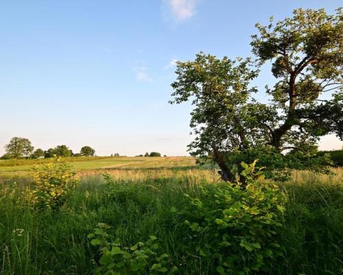 Działka doskonała pod inwestycję - Nałęczów - 14ar