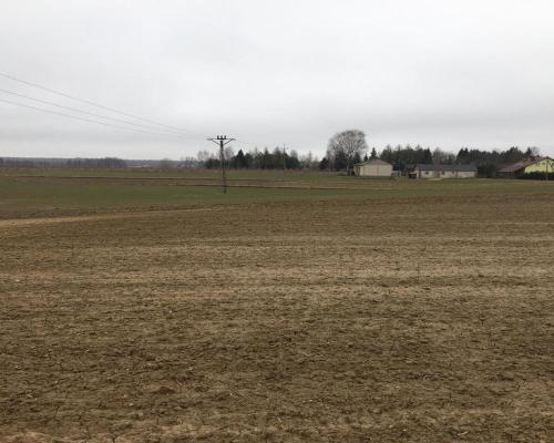 Działka 3000m2 Tomaszowice- Kolonia