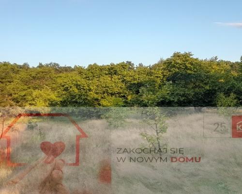 Ładna, uzbrojona działka pod lasem-33a-Wilczopole