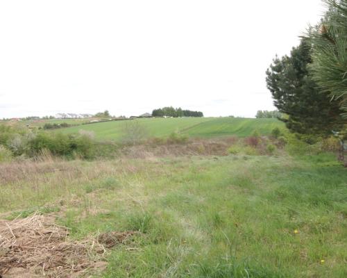 Duża działka rolna ok. 1 ha Jakubowice Konińskie