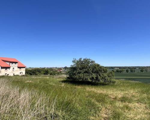 Dom wolnostojący na dużej działce 3522m2/Zimnik
