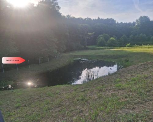 Dom w budowie nad rzeką dz. 2924 m²  Natura 2000