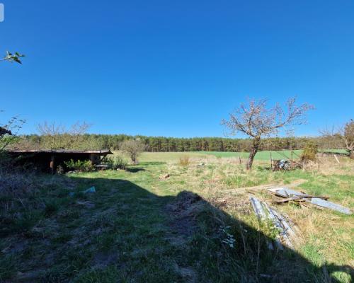 Siedlisko w Odrach z działką 12800 m2
