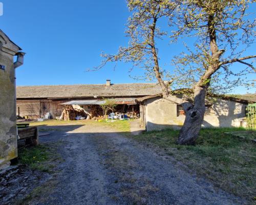 Siedlisko w Odrach z działką 12800 m2