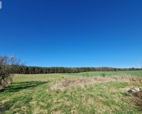 Siedlisko w Odrach z działką 12800 m2