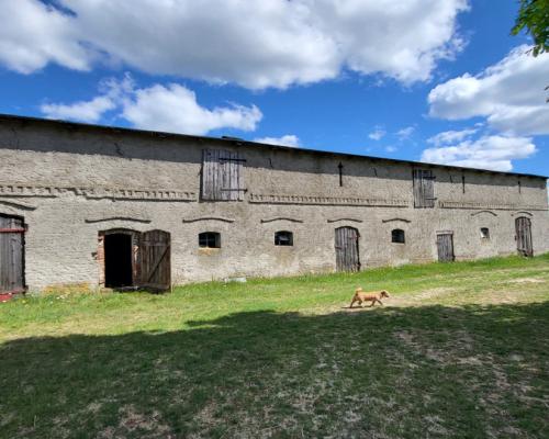 Dom , stodoła siedlisko 2177 mkw - 20min od Nakło