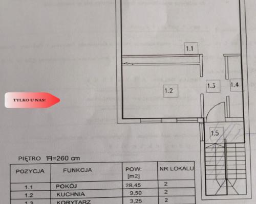 208 m2 dwa poziomy w samym sercu Trzebnicy