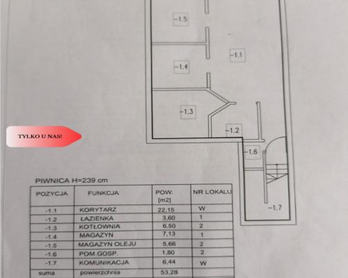 208 m2 dwa poziomy w samym sercu Trzebnicy