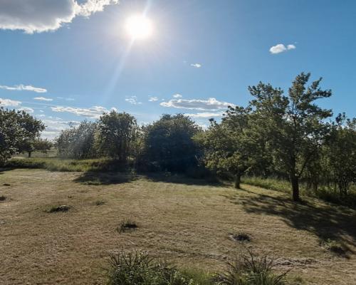 Siedlisko z działką i stawem, Trzaskowice-Stróżewo