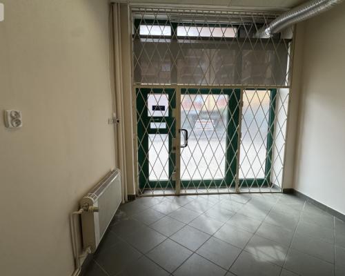 Duży lokal z witryną przy Ogrodzie Botanicznym