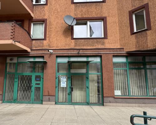 Duży lokal z witryną przy Ogrodzie Botanicznym