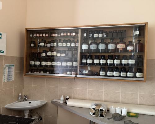 Duży lokal z witryną przy Ogrodzie Botanicznym