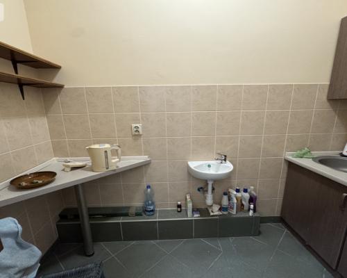 Duży lokal z witryną przy Ogrodzie Botanicznym