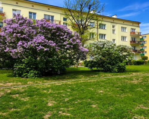 Osiedle Leśne 3 pokojowe mieszkanie dwa balkony