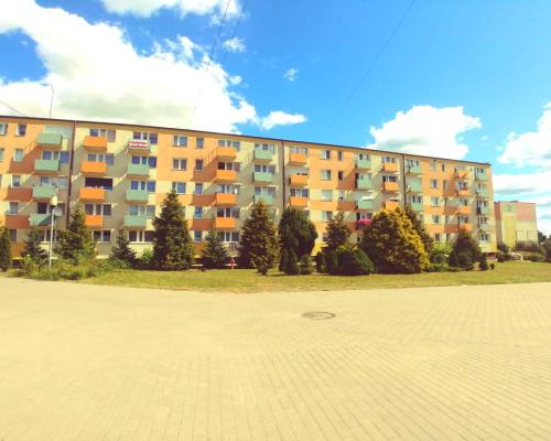 Tylko u nas, Idealne do własnej aranżacji