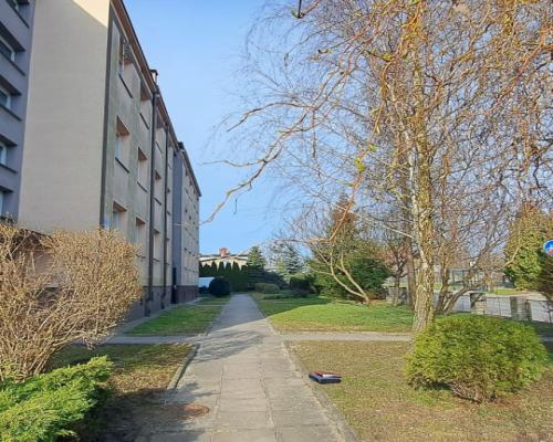 Duże słoneczne mieszkanie, pierwsze piętro