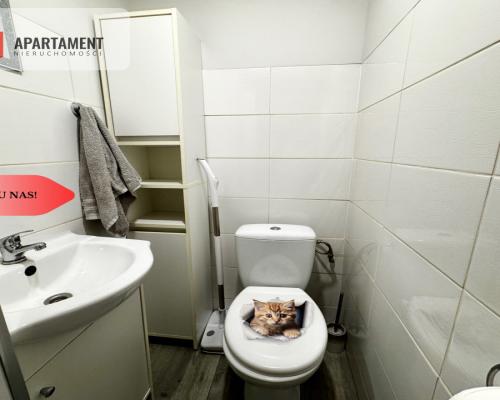 Po remoncie ! z wyposażeniem! gotowe do wejścia