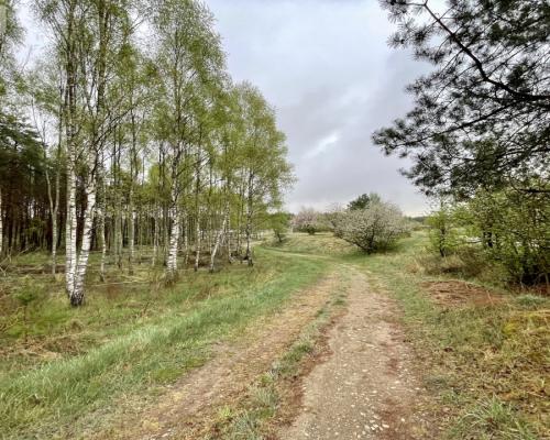 Bezczynszowe mieszkanie na parterze z ogródkiem
