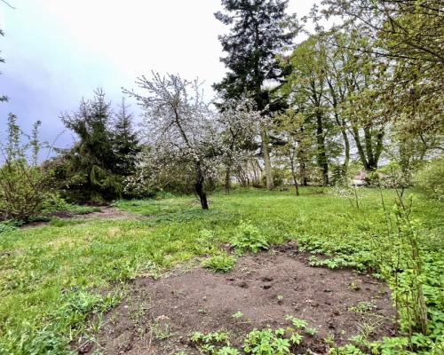 Bezczynszowe mieszkanie na parterze z ogródkiem