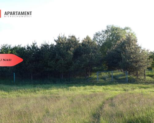 Duża działka z linią brzegową jeziora