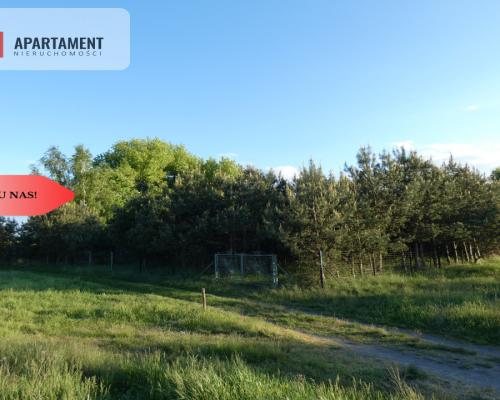 Duża działka z linią brzegową jeziora