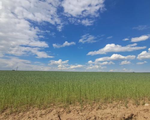 Działka Budowlana*PINCZYN*CISKA*1108m