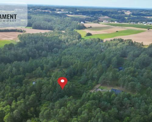 Tylko u nas! Działka blisko natury w Borku