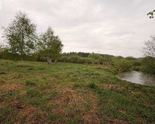 Wyjątkowa działka budowlana na skraju lasu