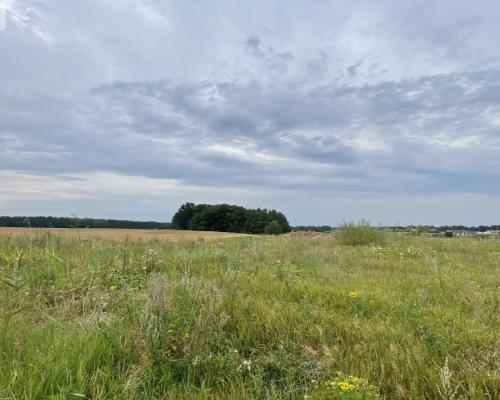 działki pod Starogardem Gdańskim