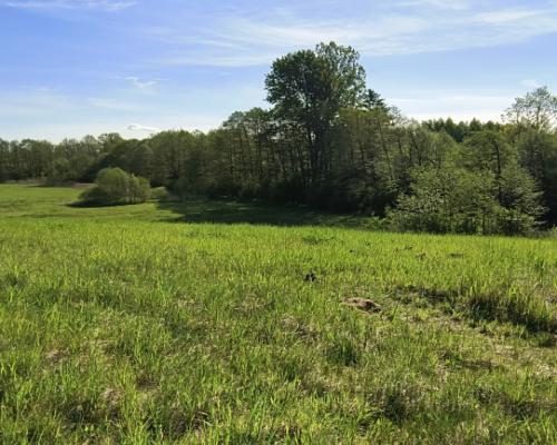 Działka na Kaszubach z widokiem na jezioro