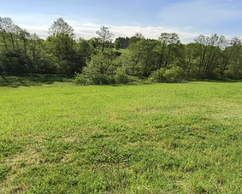Działka na Kaszubach z widokiem na jezioro